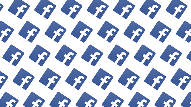 facebook v ikonách.png